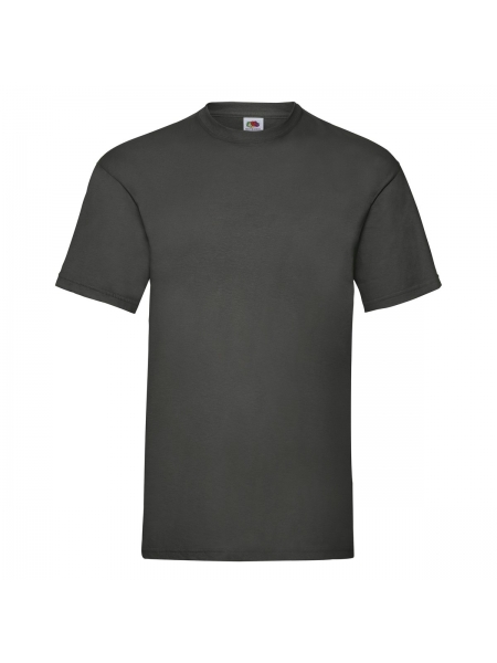 t-shirt-valueweight-fruit-of-the-loom-gr-165-light graphite.jpg
